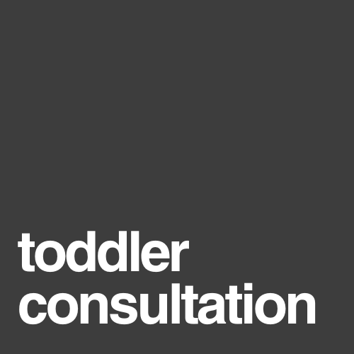 Toddler Consultation